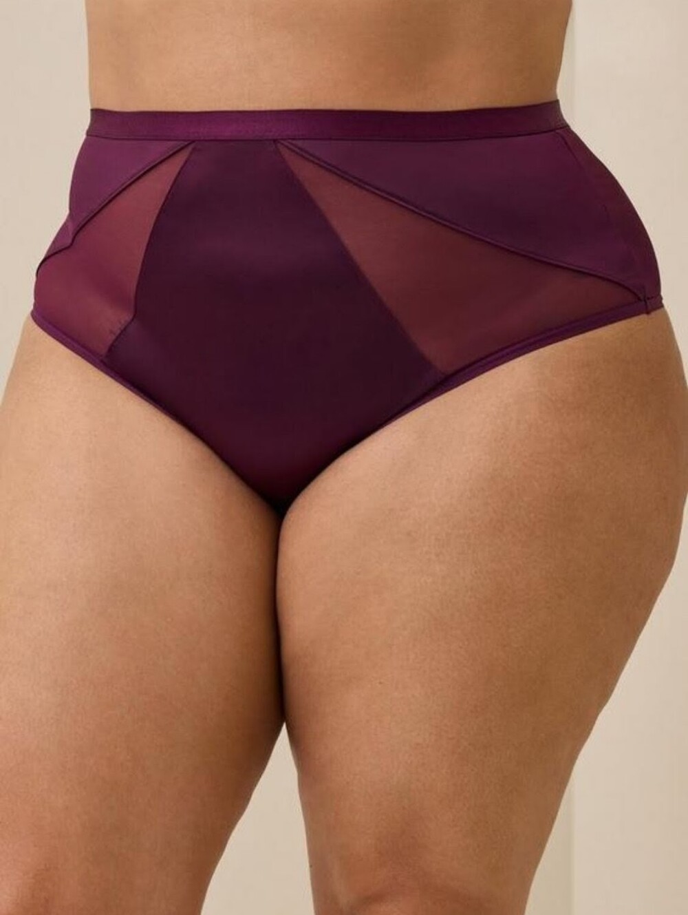 Torrid High Waist Cheeky Panty Eggplant Purple W/ Mesh Panels Size 0 XL